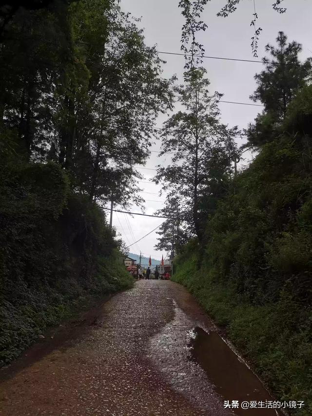 红河哪里有果园种植的,红河哪里有果园种植的地方