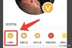 qq看点的v是怎么来的？：qqv