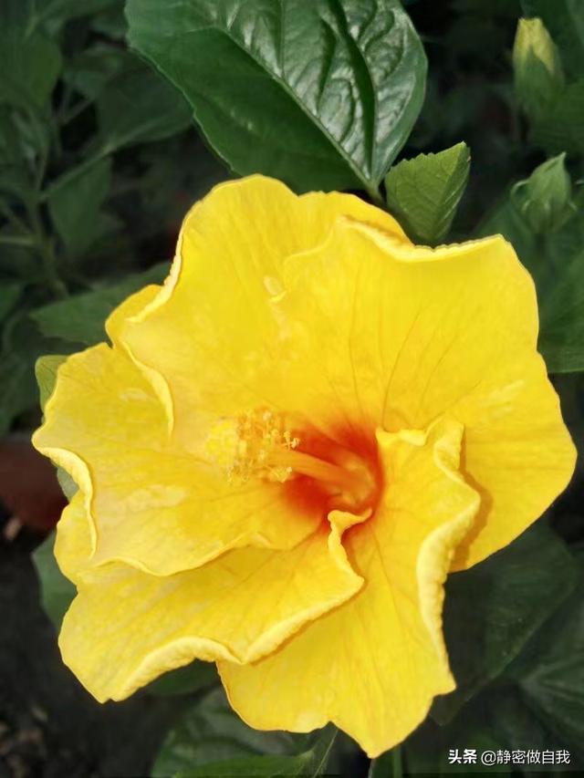 爱我的人和我爱的人_爱我的人和我爱的人电视剧