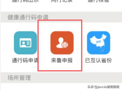 前沿科技，山东地方税务局网上申报系统引领办税新风尚！，山东省税务局网上申报