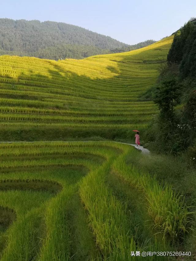 全球风景最美的地方排名,全球风景最美的地方排名榜