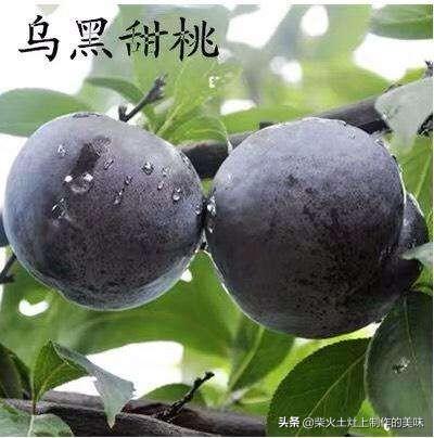 高山菜做法家常做法大全(图35)