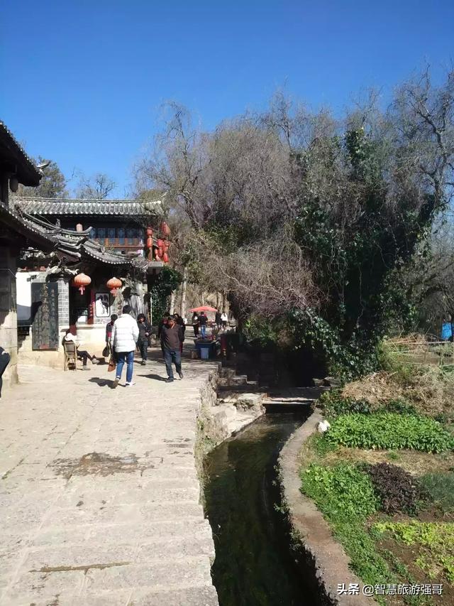 云南旅游景点推荐适合带孩子 全球旅游吗,云南旅游景点推荐适合带孩子 全球旅游吗