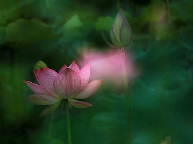 快门优先（快门优先、光圈优先和P这三个档是在哪种场合比较合适？）