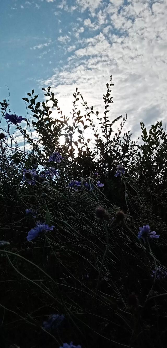 圆通蚌埠到淮南的快递电话，圆通蚌埠到淮南的快递电话号码