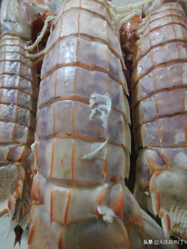 长兴旅游穿搭海边， 长兴旅游穿搭海边视频