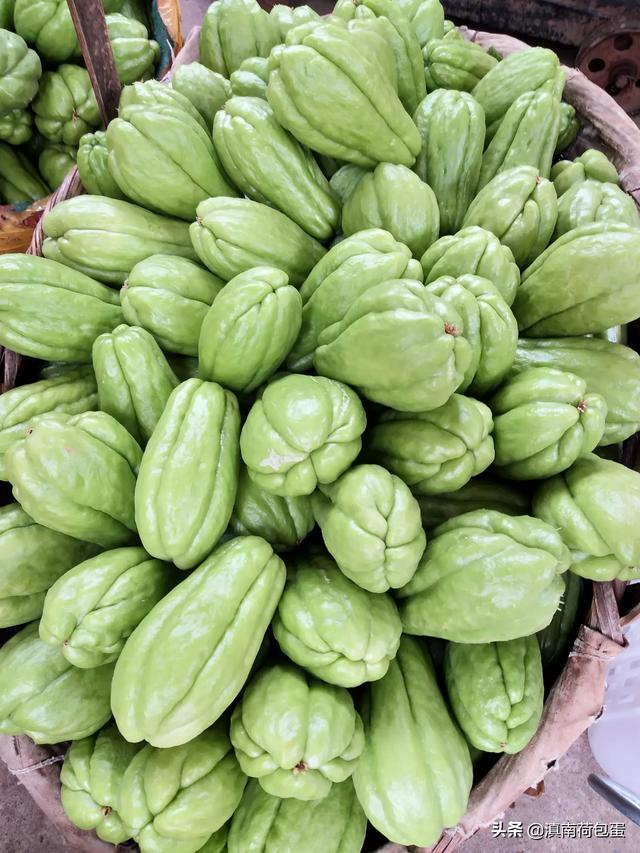 做法最容易的菜有哪些菜(图5)