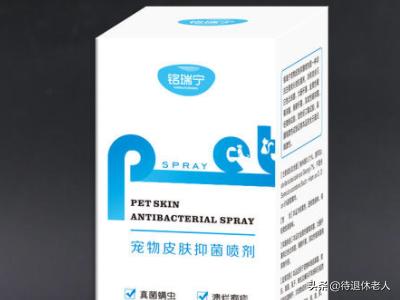 金毛犬皮肤病怎么治？用什么药,第4张