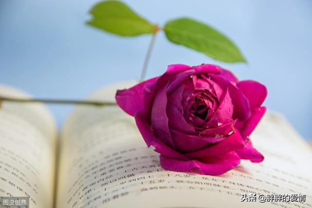 早上充满正能量的感悟句子_早上正能量说说朋友圈说说