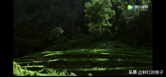 有什么电影里面风景特别好