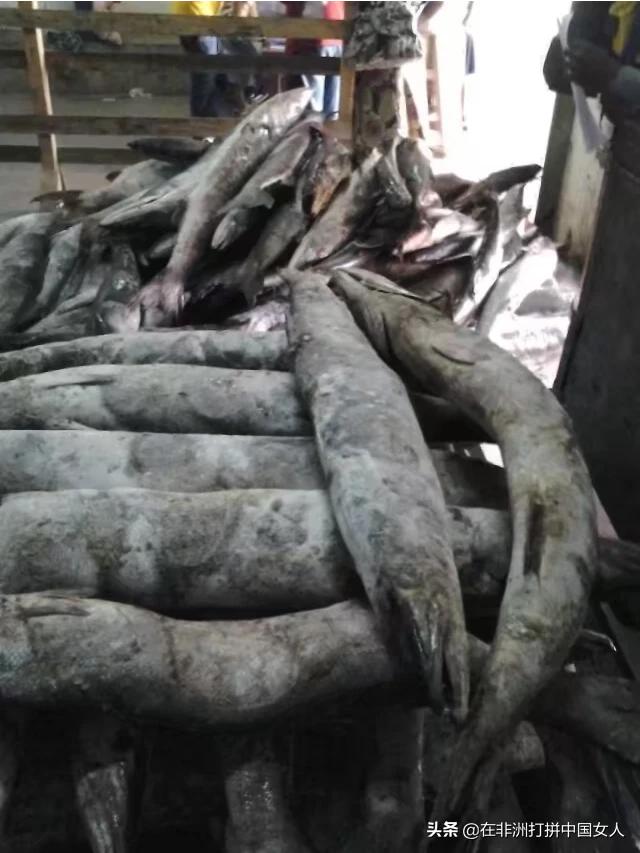 热带鱼要怎么吃才好吃(图13)