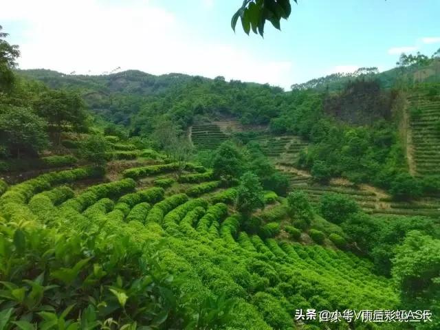 种植信息管理，种植信息管理系统有什么功能