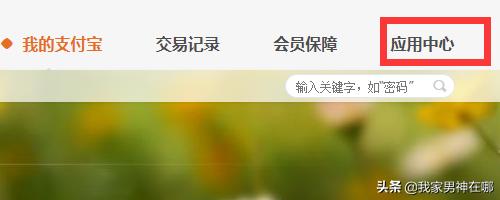 社会保险服务中心代付业务，社会保险服务中心代付业务是什么