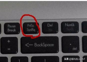 在电脑上怎么截图（在电脑上怎么截图保存到桌面）