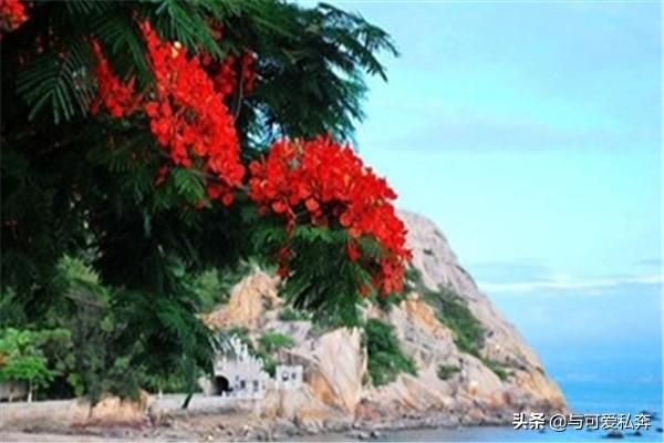 蜜月旅行去哪里比较好 国内（蜜月旅行去哪玩）