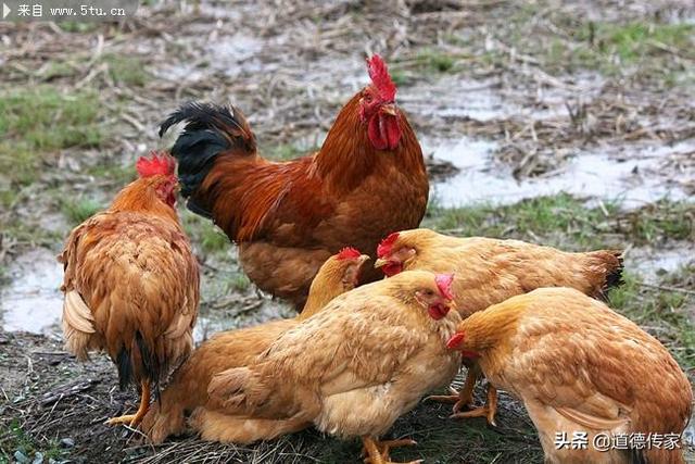 海鱼小说app官方正版 海鱼小说-第4张图片-春华游戏网