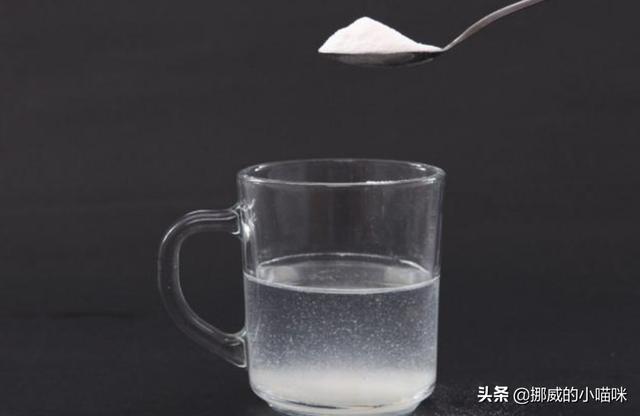 狗感冒吃什么药?狗感冒吃什么药好得快!