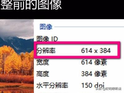 电脑如何放大(电脑如何放大图片)