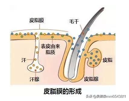 硬痘痘怎么消除挤不动(图3)