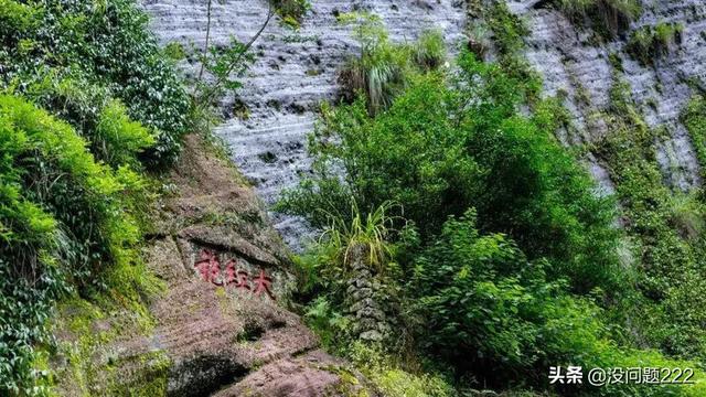 武夷山在福建的哪个省