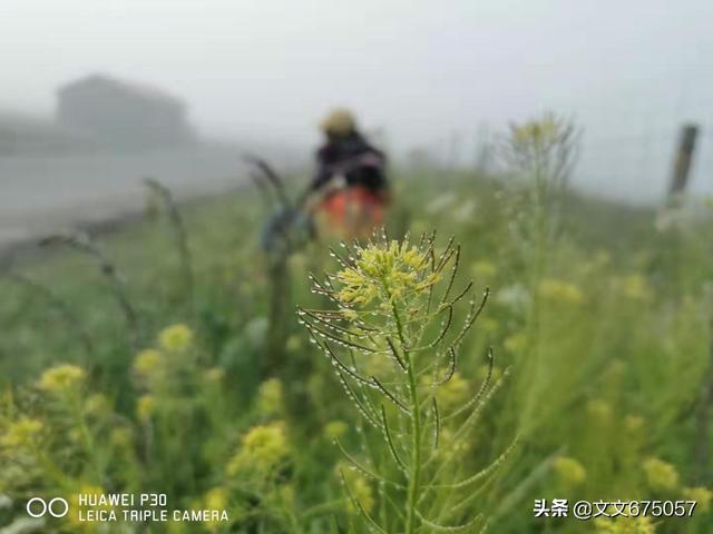 拍照好看的中年女性照片(图1)