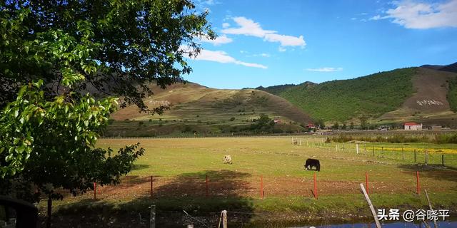 西宁市湟中区纸飞机账号购买服务