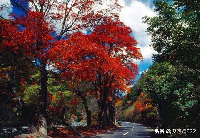 理县有哪些必去的景点(图2)