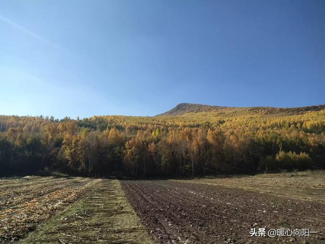 西坑到老街地铁路线，西坑到老街地铁路线图