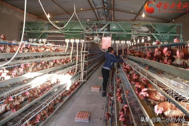 牧场图片牧场图片高清