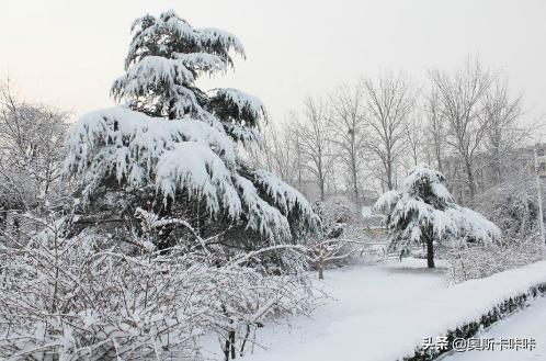 冬天的四字词语10000个_冬天的词语4字词语