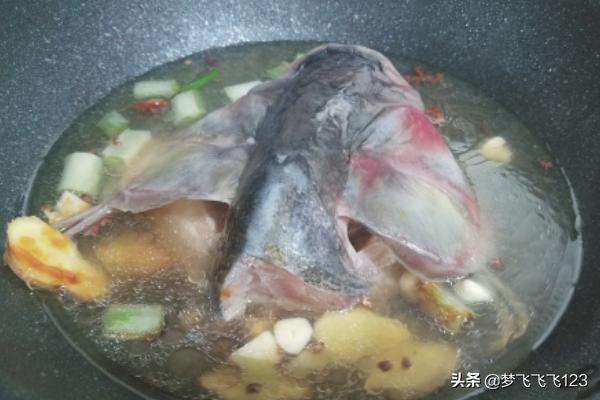 胖头鱼-胖头鱼图片