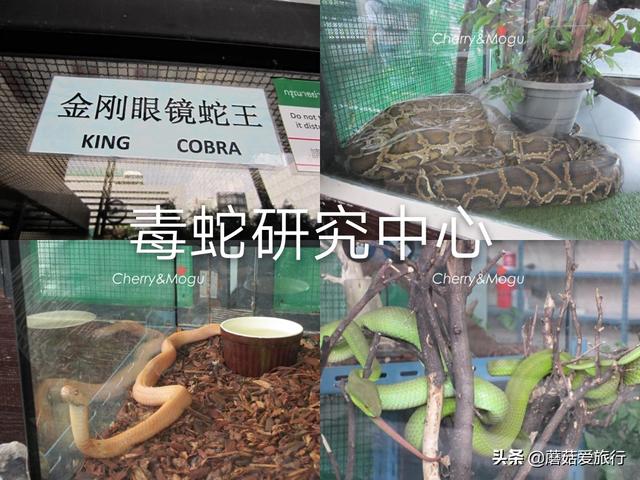 跟团游被忽悠买套房怎么处理