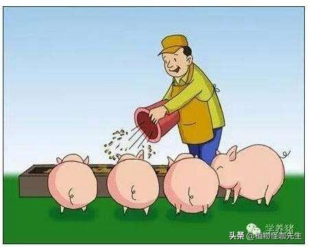 对于产品饲料-对于产品饲料的认识