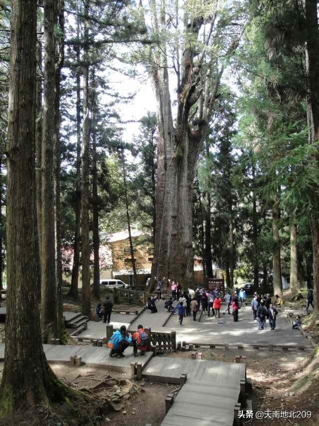 高雄景点门票，高雄景点门票多少钱