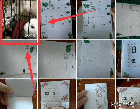 如何下载新浪视频-如何下载新浪视频的视频?