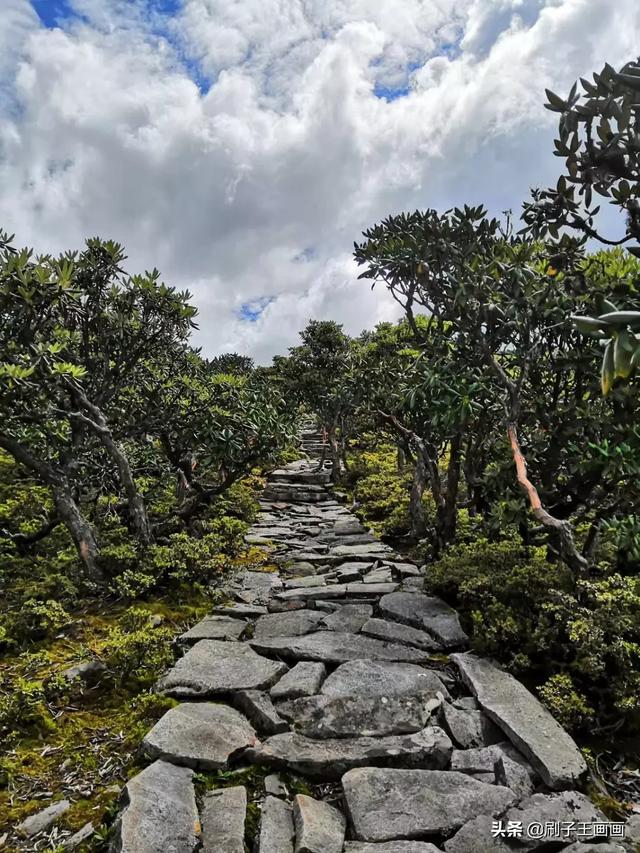 有哪些值得一看的免费景点