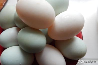 怎样腌制咸鸭蛋-怎样腌制咸鸭蛋的最简单方法