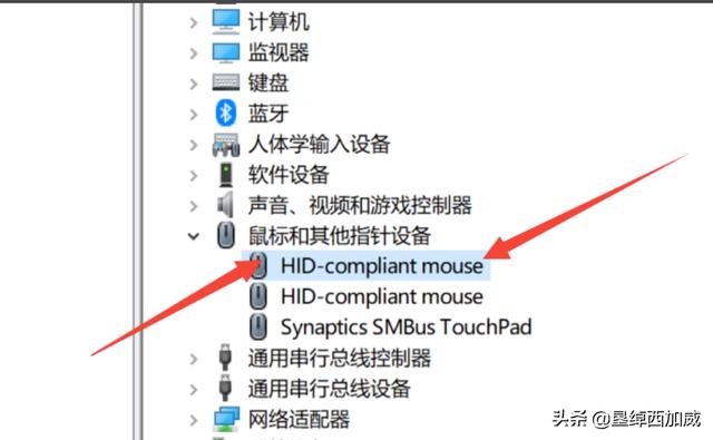 [鼠标中间滚轮失灵]电脑鼠标中间滑轮失效？