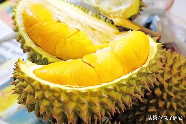 榴莲咬开来是什么样的_榴莲为什么被誉为水果之王？