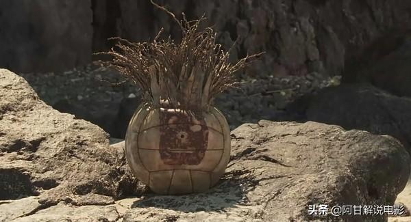 荒岛余生最后的包裹里面有什么 荒岛余生-第3张图片-随然AIR主题