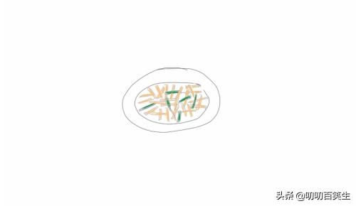食物如何搭配营养简笔画(图5)