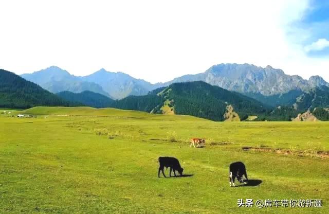 奎屯周边旅游景点大全， 奎屯周边旅游景点大全 自驾车旅游