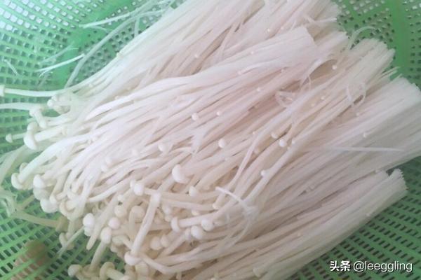 烧烤金针菇怎么烤着吃