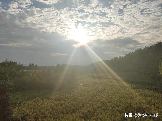 不开心怎么办？：不开心怎么办