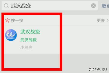 武汉市健康码是哪个