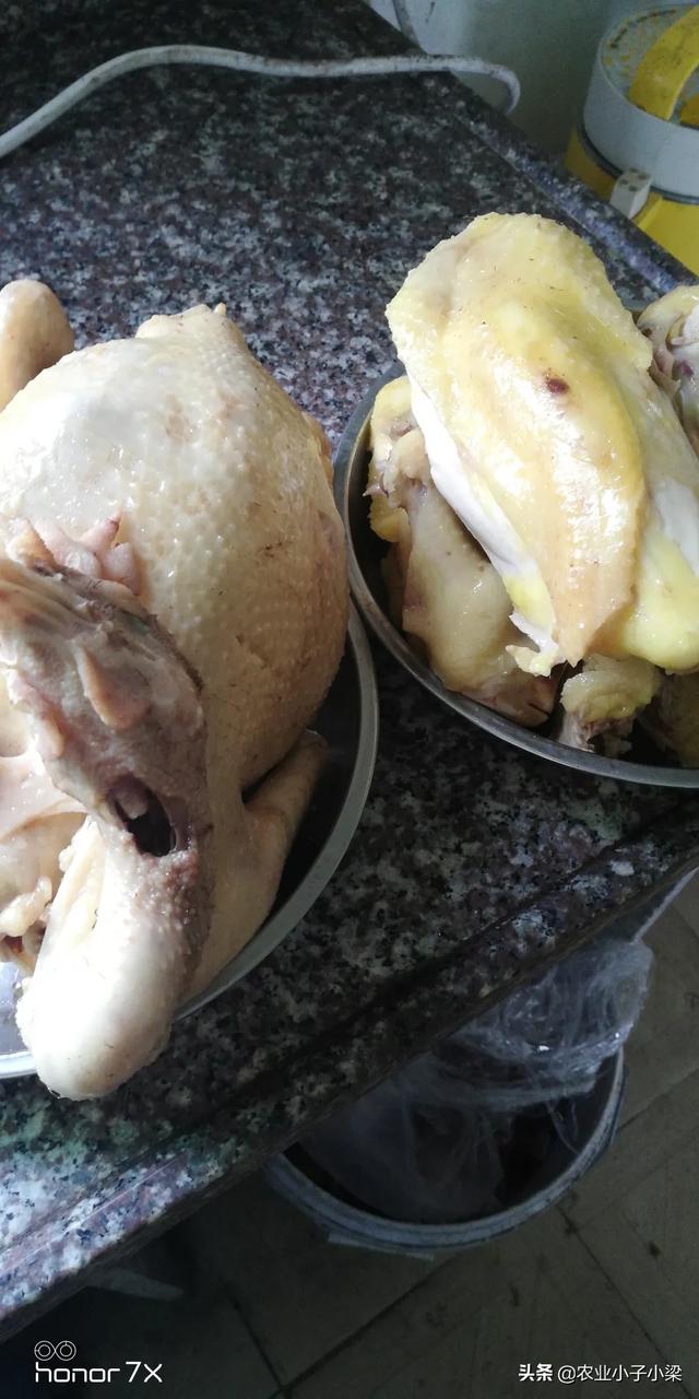 清远双胞胎饲料批?l-清远双胞胎饲料厂