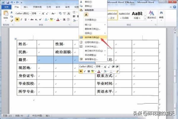 个人简历表格样本 简历表电子版免费