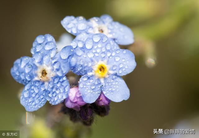 生活向上正能量句子,坚强正能量的句子