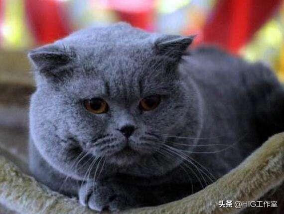 吃胖了脸变圆了怎么瘦(图2)