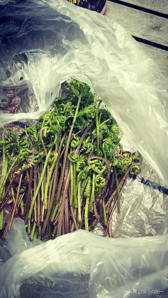 唐山一日游必去的景点(图6)